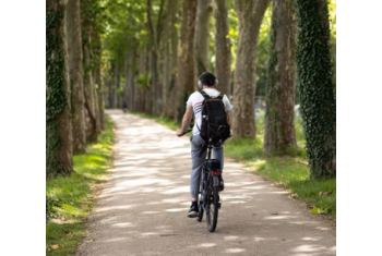 Vélo