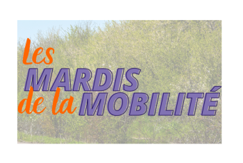 Logo Mardi de la Mobilité