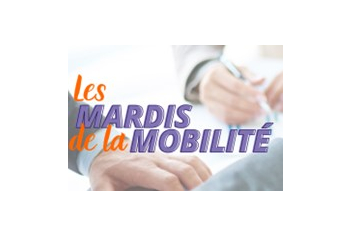 Mardis mob