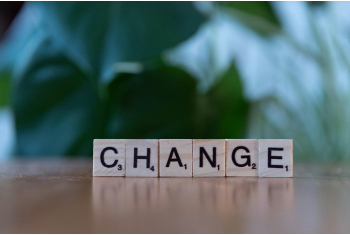 photo adaptation au changement scrabble