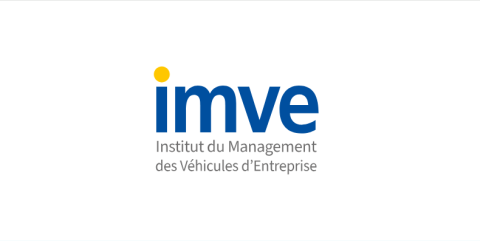 Logo IMVE