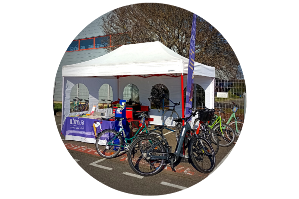 stand ilovelo
