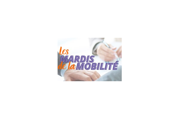 Mardis mob